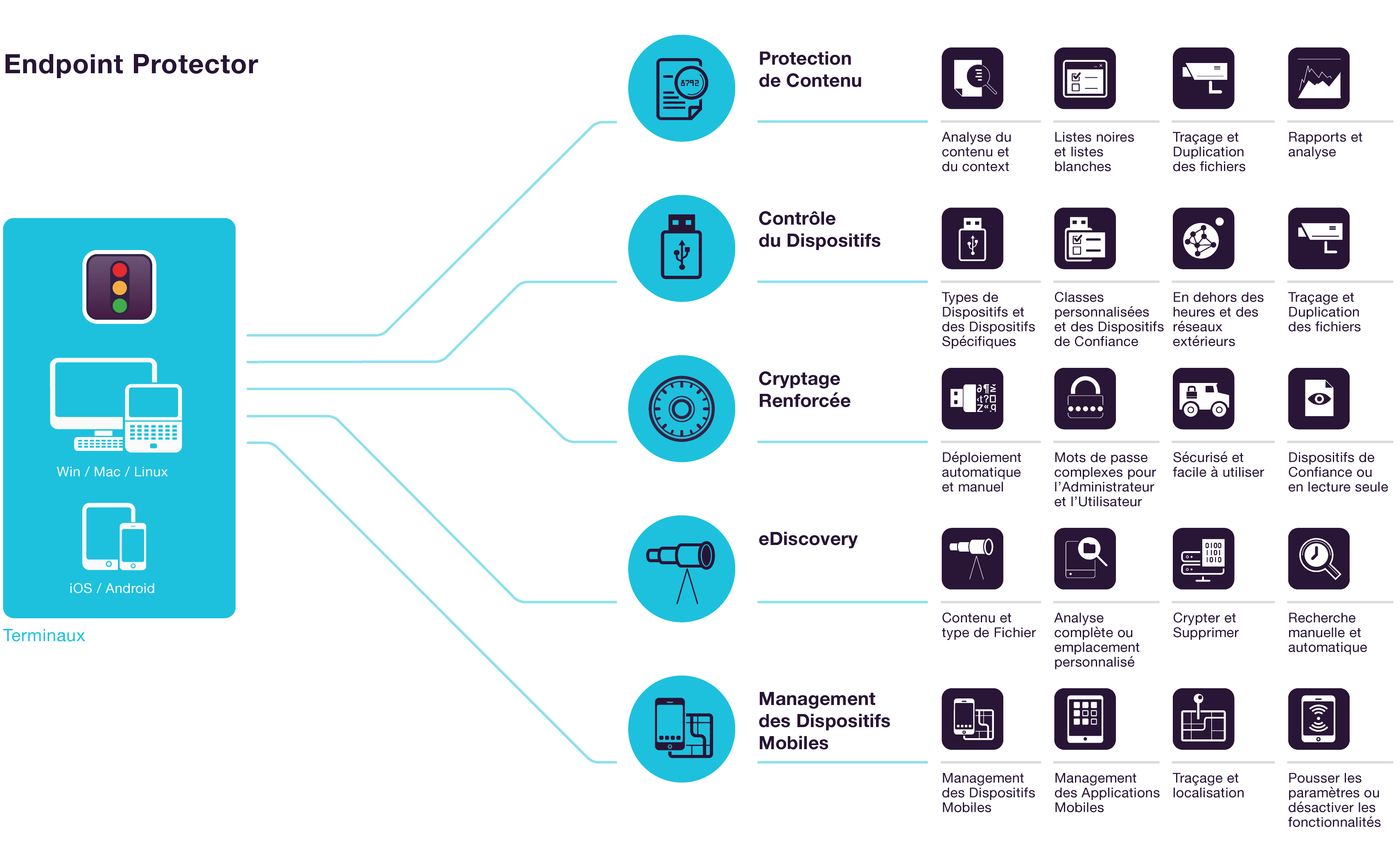 Infographic